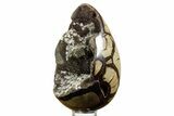 Septarian Dragon Egg Geode - Sparkly Black Crystals #378951-2